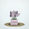Flori de Cameră Begonia Rex Velvet Leaf - imagine 1