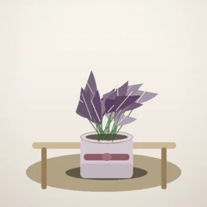 Flori de Cameră Begonia Rex Velvet Leaf - imagine 4
