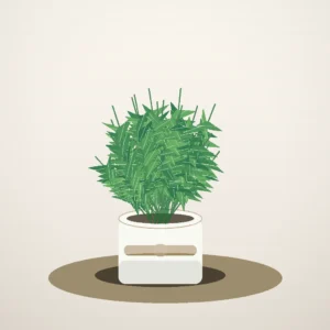 Flori de Cameră Chamaedorea Palm Fresh Corner - imagine 1
