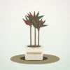Flori de Cameră Dracaena Marginata Slim Office - imagine 1