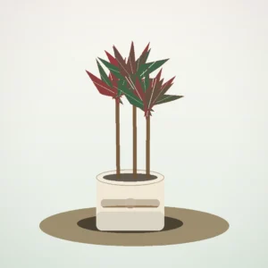 Flori de Cameră Dracaena Marginata Slim Office - imagine 1