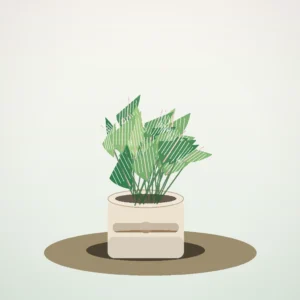 Flori de Cameră Maranta Prayer Plant - imagine 1