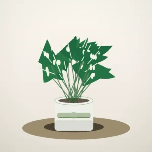 Flori de Cameră Monstera Deliciosa Urban Jungle - imagine 1