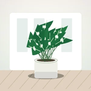 Flori de Cameră Monstera Deliciosa Urban Jungle - imagine 3