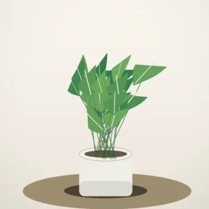 Flori de Cameră Schefflera Mini Tree - imagine 2
