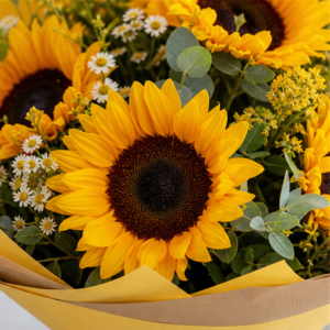 Flori la Domiciliu București Sunny Hello cu Floarea Soarelui - imagine 2