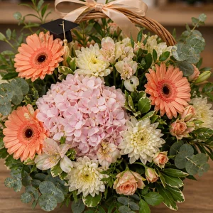 Livrare Buchete pentru Absolventi cos floral cald cu hortensie si gerbera - poza 2
